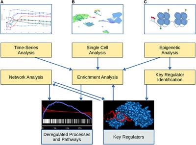 GeneTrail: A Framework for the Analysis of High-Throughput Profiles